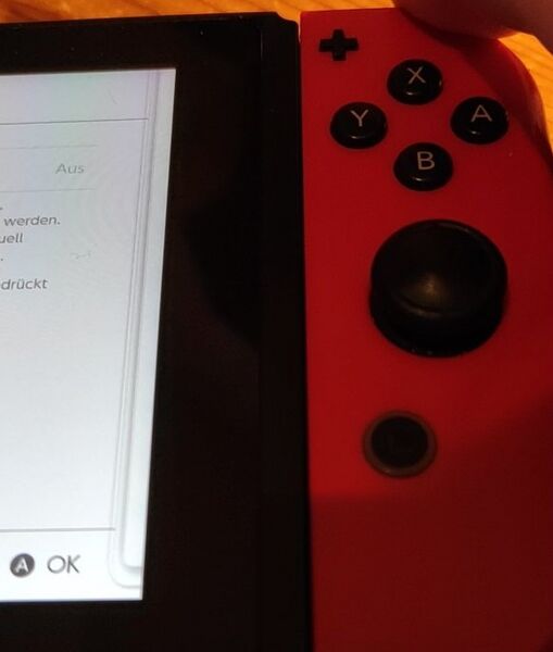 Datei:Nintendo Switch v9.0.1 Farbfehler.jpg